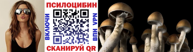 Галлюциногенные грибы Magic Shrooms  наркотики  Гагарин 