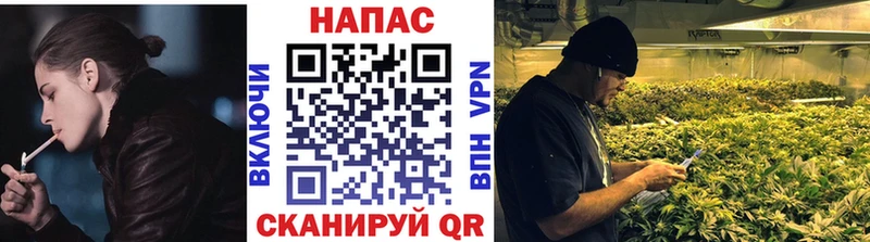 закладка  MEGA tor  Бошки марихуана планчик  Гагарин 